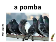 A pomba